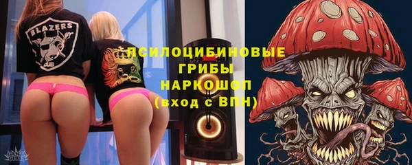 ПСИЛОЦИБИНОВЫЕ ГРИБЫ Балабаново