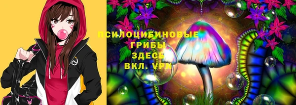 трава Армянск